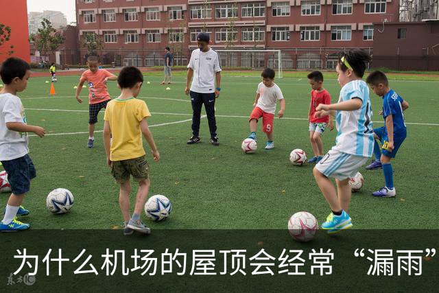 为什么机场的屋顶会经常“漏雨”？用“苔藓”来接漏水也不过是“缓解下旅客心情”而已！