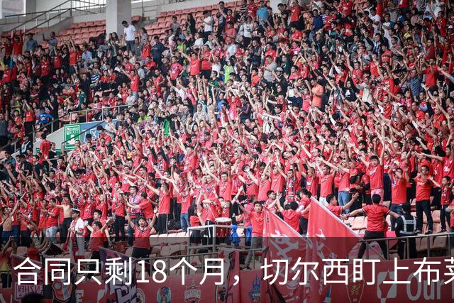 合同只剩18个月，切尔西盯上布莱顿23岁中场阿亚里