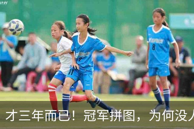 才三年而已！冠军拼图，为何没人要了？