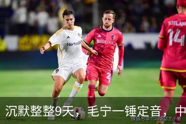 沉默整整9天，毛宁一锤定音，中美战机已交手，美方要见中国代表
