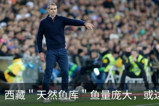 西藏＂天然鱼库＂鱼量庞大，或达2亿公斤？为何人们不进行打捞？
