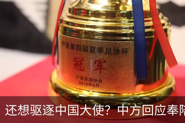 还想驱逐中国大使？中方回应奉陪到底，大使点破真相，菲再次破防